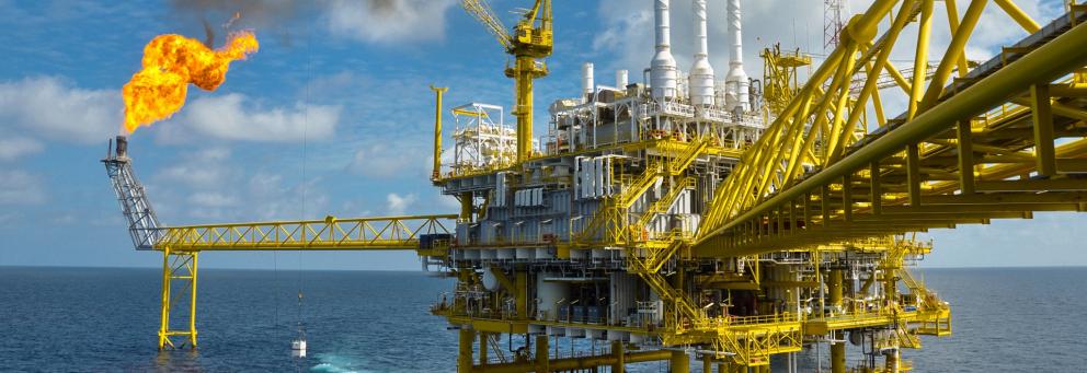 L'Institut et la société