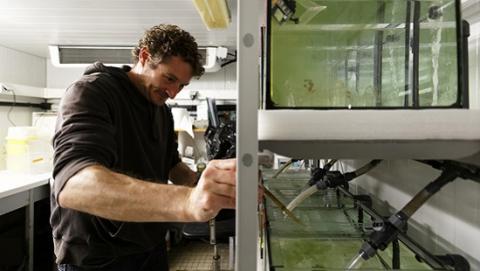 Les biotechnologies marines Les biotechnologies marines