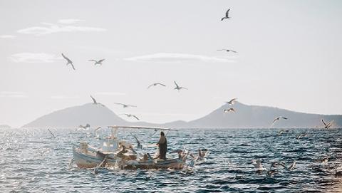 Projets de master 2 - Axe La mer dans l’histoire de la Terre, de la vie et des sociétés Projets de master 2 - Axe La mer dans l’histoire de la Terre, de la vie et des sociétés
