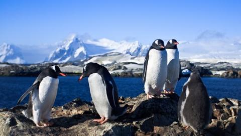One Planet Summit One Planet Summit
