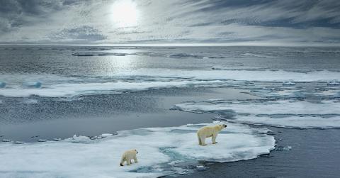 Expertises croisées sur l’Arctique Expertises croisées sur l’Arctique