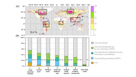 Cartographie mondiale à très haute résolution des zones humides