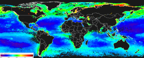 SCAI LOCEAN