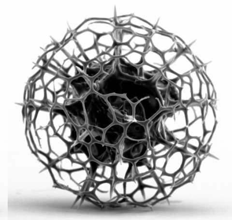 silicium