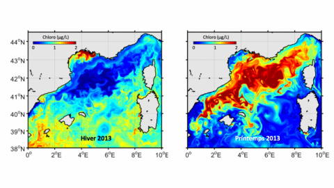 DEWEX 2013 : chlorophylle de surface