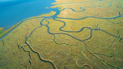 estuaire