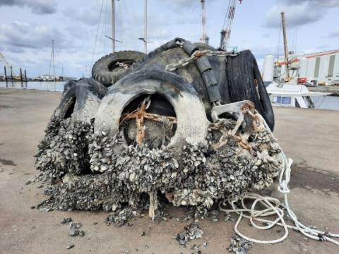 moules dans le port de Saint Nazaire