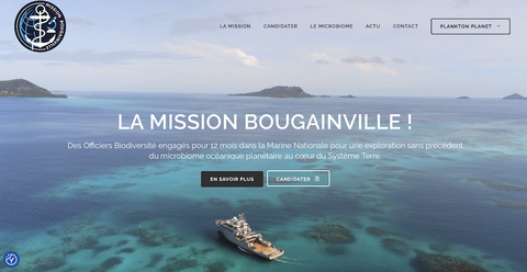 Bougainville le site