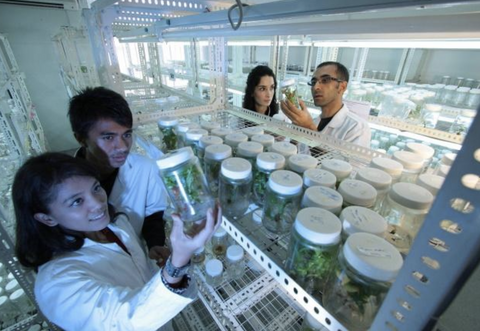 projets post doc